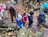 58c77908-ac56-40fb-aab3-70314e16e999