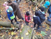 9bc35fc5-bbce-43f5-9910-536dba8a65cd