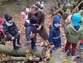 e8fb3b11-b894-4614-a74f-fb084f53a6dd